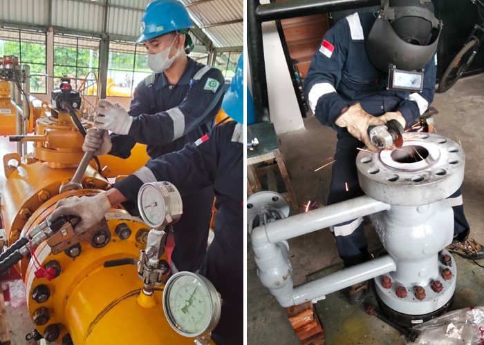 Valve repair
